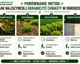 Ręczne usuwanie chwastów dwuliściennych, ściółkowanie, gęste sadzenie i bariery betonowe to metody walki z niechcianymi roślinami w ogrodzie.