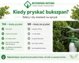 Oprysk na ćmę bukszpanową wykonuj wieczorem, w pochmurny dzień, bez silnego wiatru. Unikaj słońca, upału i deszczu. Celuj w środek krzewu.