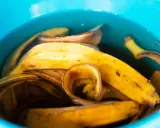 Nawóz z banana: klucz do bujnego kwitnienia i zdrowych roślin.