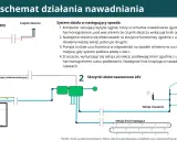Zraszacze wynurzalne: Jakie ciśnienie jest kluczowe dla trawnika?