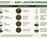 Porównanie błędów w pielęgnacji z domowym sposobem na chwasty. Skuteczne metody usuwania chwastów, np. plewienie po deszczu.