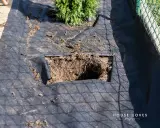Przygotowana ziemia pod tuje. Czarna agrowłóknina z wyciętym kwadratem na sadzonkę.