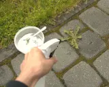 Domowy sposób na chwasty w kostce brukowej: sól w pojemniku i spryskiwacz w dłoni.