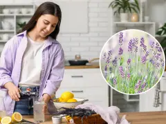 Kobieta przygotowuje napój z cytrynami i lawendą, zastanawiając się, czy lawenda jest jadalna.