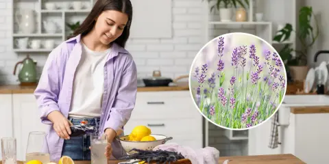 Kobieta przygotowuje napój z cytrynami i lawendą, zastanawiając się, czy lawenda jest jadalna.