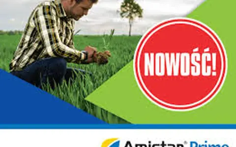 Rolnik sprawdza ziemię, by ustalić amistar 250 sc dawkowanie na trawnik. Nowość od Amistar Prime!