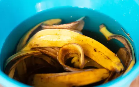 Nawóz z banana: klucz do bujnego kwitnienia i zdrowych roślin.