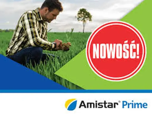 Rolnik sprawdza ziemię, by ustalić amistar 250 sc dawkowanie na trawnik. Nowość od Amistar Prime!
