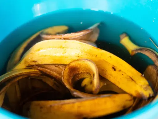 Nawóz z banana: klucz do bujnego kwitnienia i zdrowych roślin.