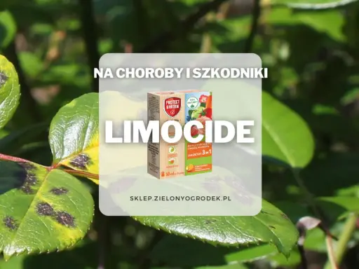 Oprysk Limocide na choroby i szkodniki roślin ozdobnych, owoców i warzyw. Skuteczny preparat 3w1.