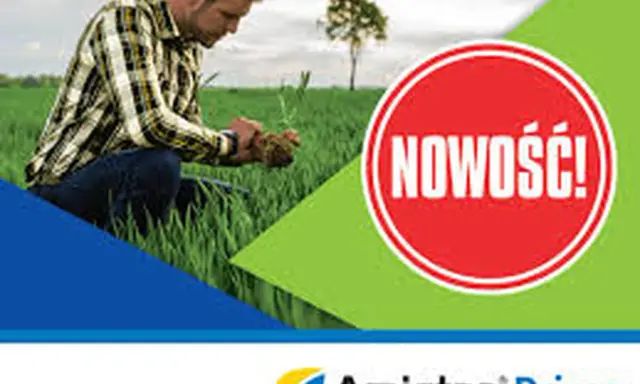 Rolnik sprawdza ziemię, by ustalić amistar 250 sc dawkowanie na trawnik. Nowość od Amistar Prime!