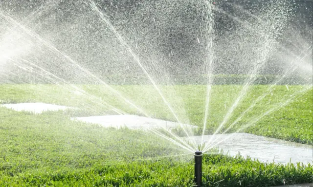 Zużycie wody przez zraszacze: Ile kosztuje podlewanie ogrodu?