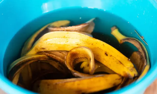 Nawóz z banana: klucz do bujnego kwitnienia i zdrowych roślin.