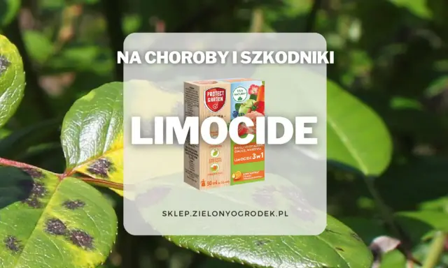 Oprysk Limocide na choroby i szkodniki roślin ozdobnych, owoców i warzyw. Skuteczny preparat 3w1.