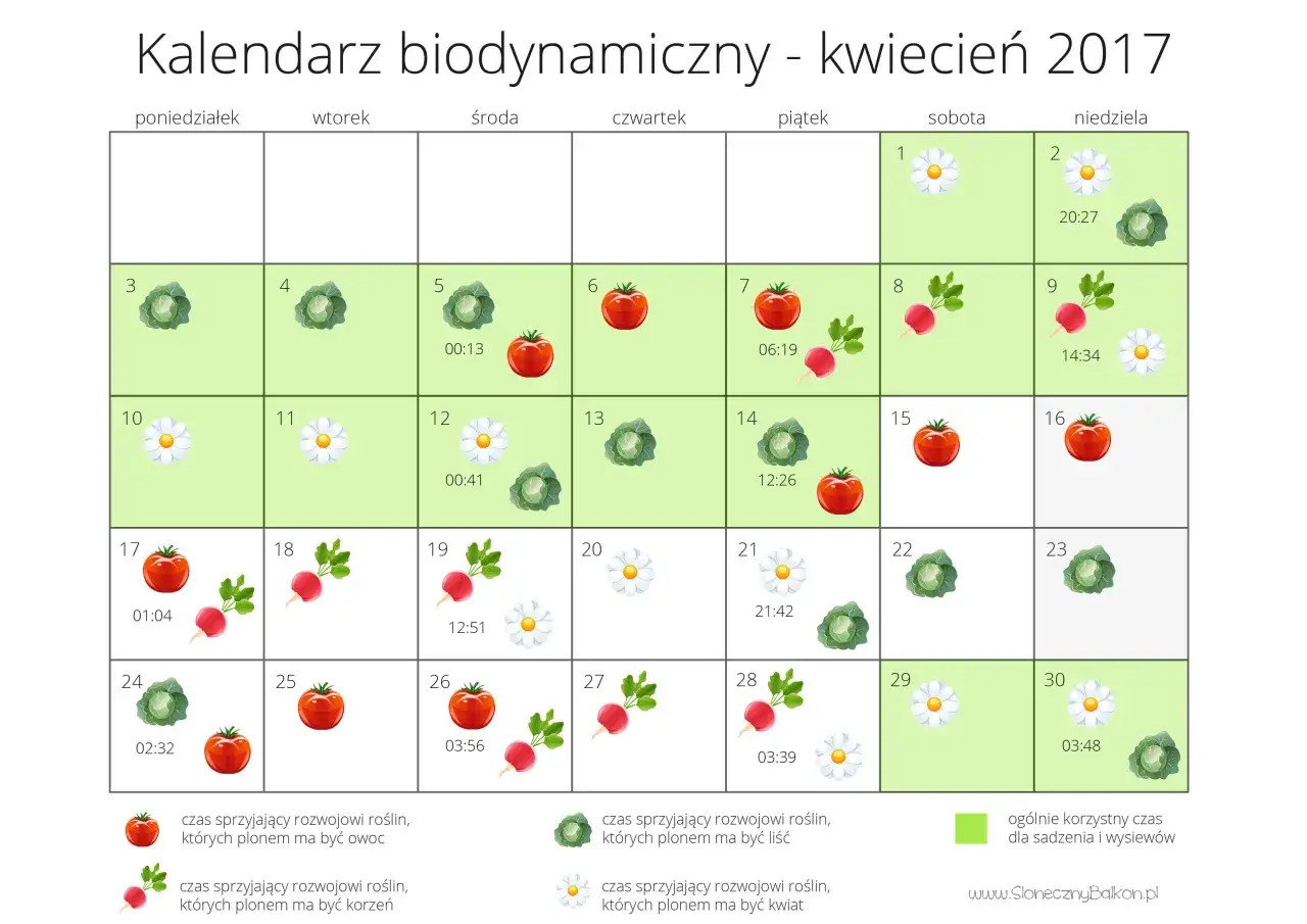kalendarz przesadzania roślin pory roku