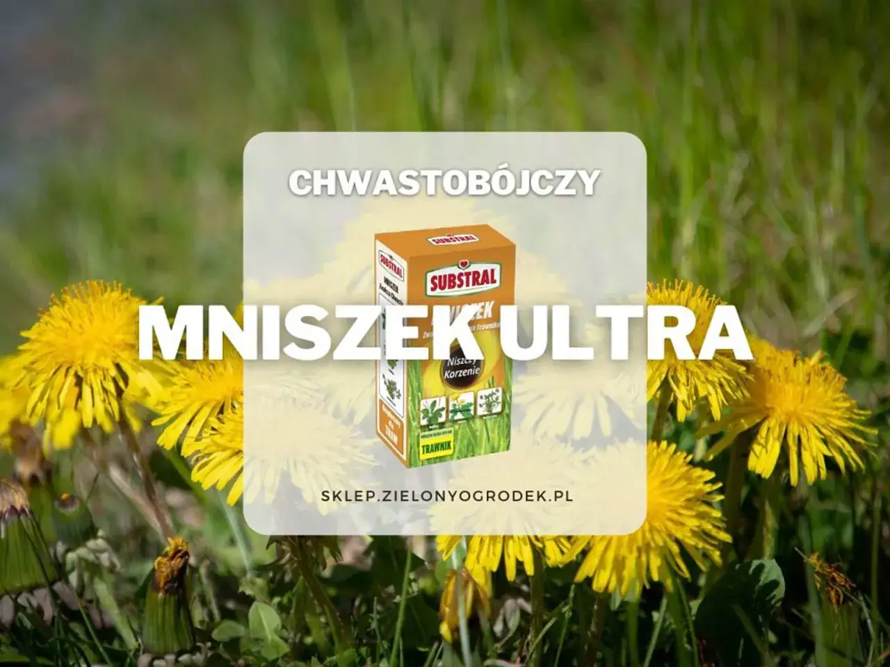 Chwastobójczy środek
