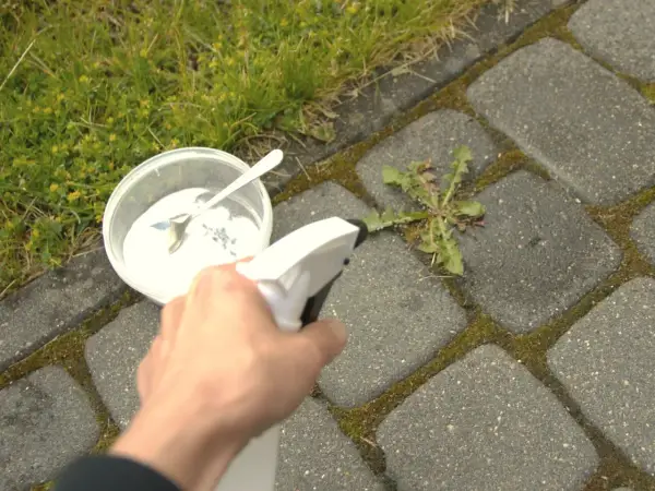 Domowy sposób na chwasty w kostce brukowej: sól w pojemniku i spryskiwacz w dłoni.